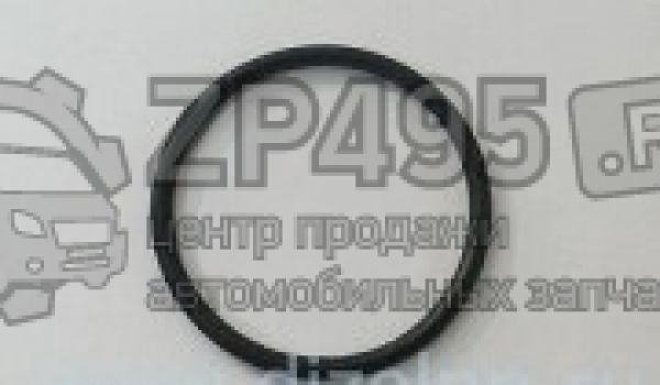 : 5601017238 0014194  -560    (, ,,,,, , NEXT, NEXT) spb.zp495.ru