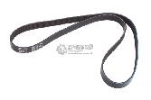 : 6PK1275 0015076  -3302  -40524 -3   DARWIN (, ,,,,, , NEXT, NEXT) spb.zp495.ru