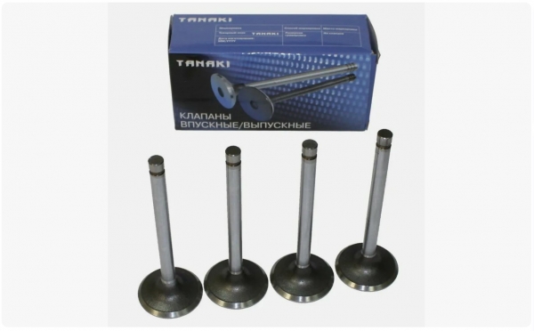 : TKG100701560 0003214   -2410,  Next .EvoTech 2.7 (939)  4.   (, ,,,,, , NEXT, NEXT) spb.zp495.ru