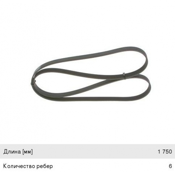 : 6PK1750 0015288   -31105,  .  (6PK-1750) DARWIN (, ,,,,, , NEXT, NEXT) spb.zp495.ru