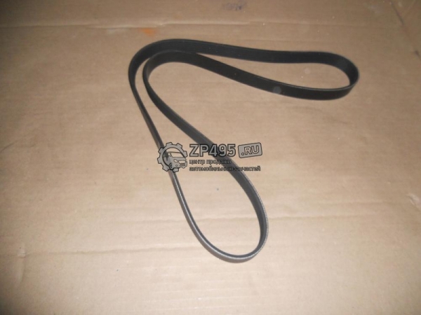 : 6PK1751 0015291   -31105,  .  (6PK-1751) HANSE (, ,,,,, , NEXT, NEXT) spb.zp495.ru
