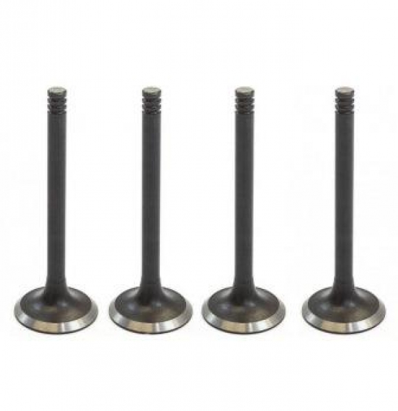 : A2743906597 0062098   -2410,  Next .EvoTech 2.7 (939)  4. ( ) (, ,,,,, , NEXT, NEXT) spb.zp495.ru