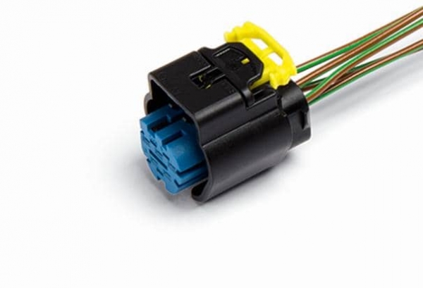 �������: AX519 �0077706 ������ ������� ���� ��� ������� � 5-� ��������� Cargen (�������������������,���������,�������,����-���������,�����������,������� ���������,������ ���������,) 